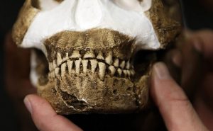 Кости в Южно-Африканской пещере могут открыть новых родственников человека