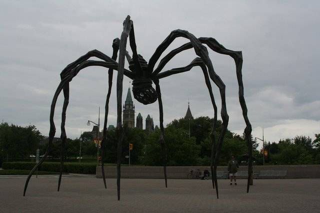 паук, который кушает Парламент