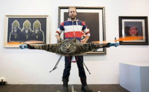 Голландец сделал из своего погибшего кота вертолет