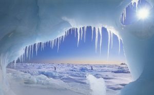 ледяной покров Арктики