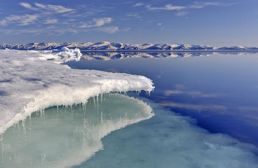 ледяной покров Арктики
