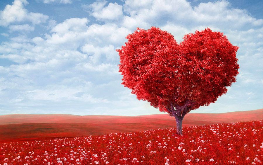 5 причин быть одиноким в День святого Валентина