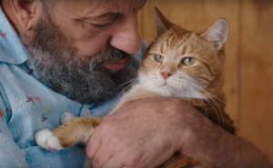 The Shelter Pet Project: кот-музыкант, мопс-тусовщик и фешн-спаниель