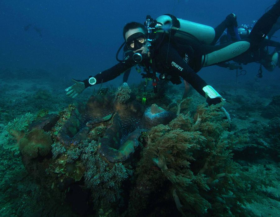 Самые огромные обитатели морских глубин