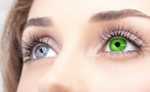 Гетерохромия: разный цвет глаз у людей и животных