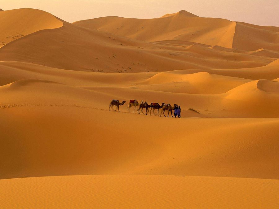 Топ-6 самых интересных пустынь мира
