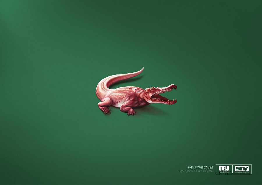 реклама в защиту животных