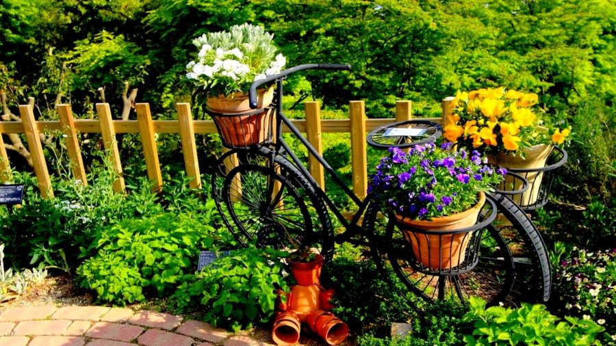 велосипед и цветы