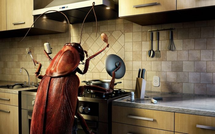 Как избавиться от тараканов в квартире? 5 рабочих способов