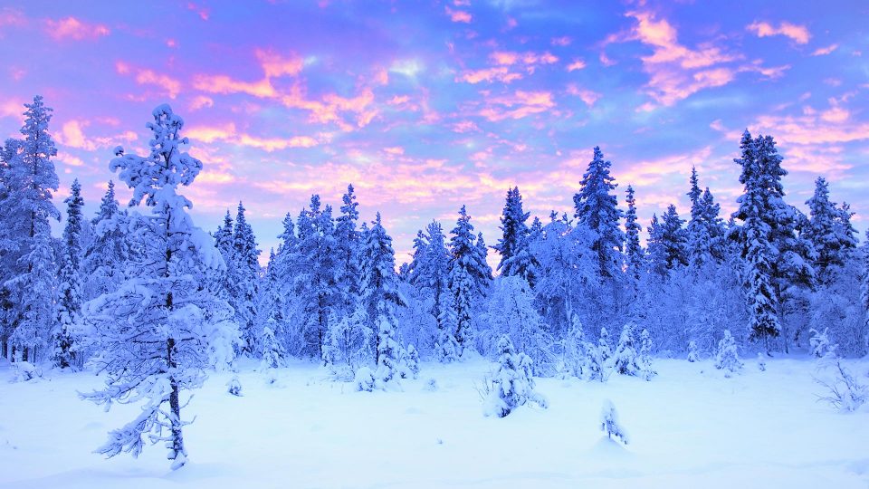 красивые фото зимы