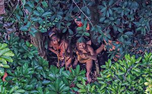 племени в лесах Бразилии