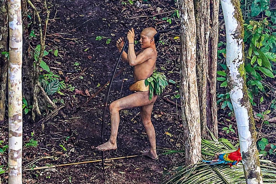 племени в лесах Бразилии