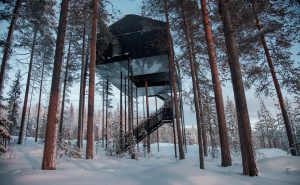 В этом отеле в Лапландии, вы сможете жить на верхушках деревьев под северным сиянием