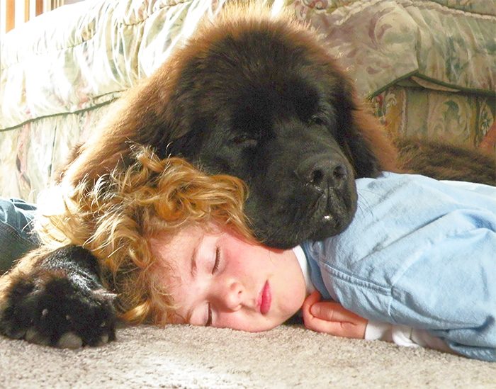 ребенок спит с собакой