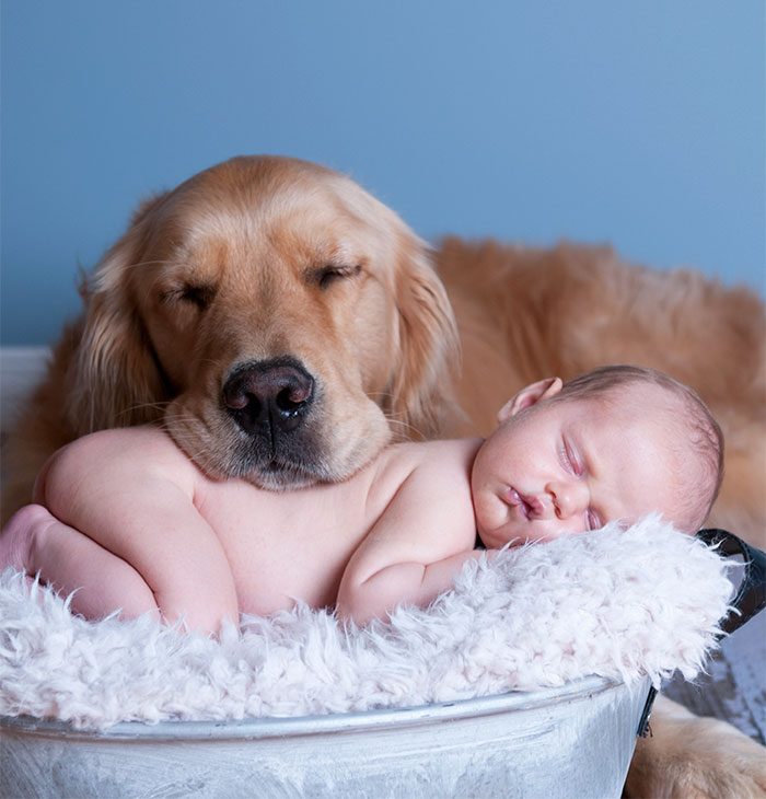 ребенок спит с собакой